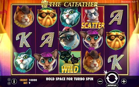  the catfather casino/irm/modelle/aqua 4